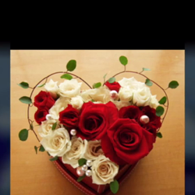 帰って来ましたの画像