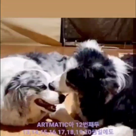 リダ インスタストーリーの画像