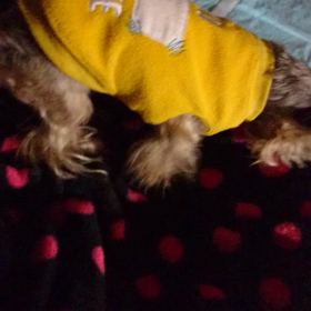 みな様 よいお年をお迎え下さいませ(^^)/の画像