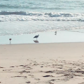 トレーニング日記(12)集団の中で走ってみた！の画像