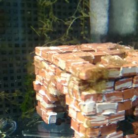 メル(ミシニ)叩きゲーム(笑)の画像