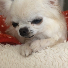 おつかれさまの画像