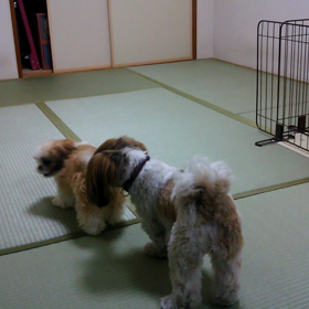 エンドレスの画像