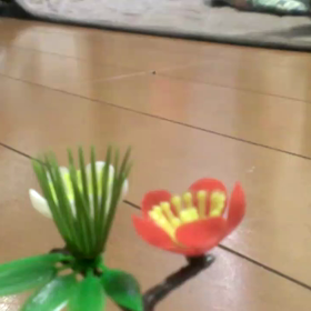 ●【まとめ版】”手作りが楽しくなる”～　乳酸菌＆酵母＆納豆菌水のリンク集の画像