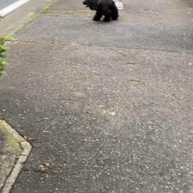 しんぱい続きの画像