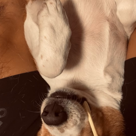 職員の日常生活✨の画像