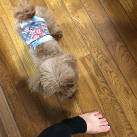 もっと♪の画像