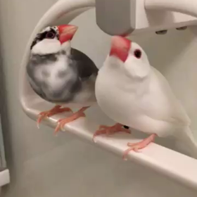 動画  テスト  2の画像