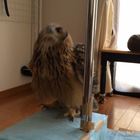 一歩ずつ(*´艸｀*)の画像