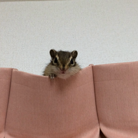 年末は笑いに注意の画像