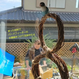 バードフィーダーに注文だよ！の画像