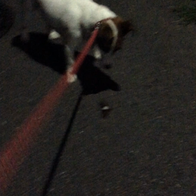 なんだ これ ⁉︎の画像