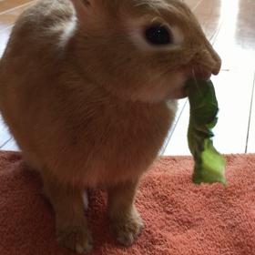 昨日の火事＆頑張れ息子くん(๑و•̀ω•́)و＆ひこさんの画像