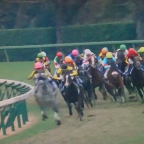 アーモンドアイ 敗れる(>_<)の画像