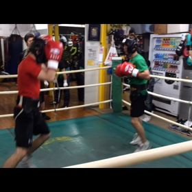 昨日はスパの日の画像