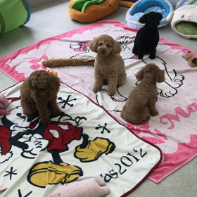 ♪プレイルーム動画♪②の画像