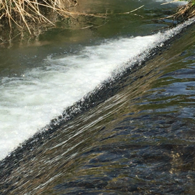 頑張れ！！の画像