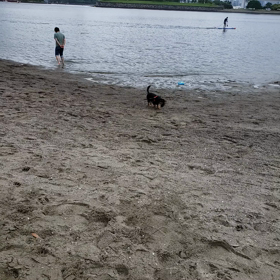 砂浜ランランの画像