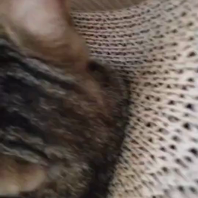 おしゃぶりの画像