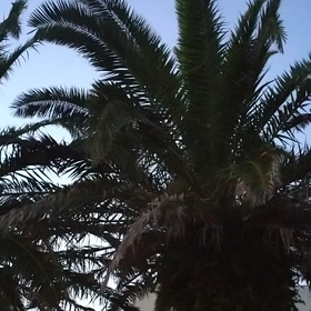 更新したはずのブログが消えた？！の画像