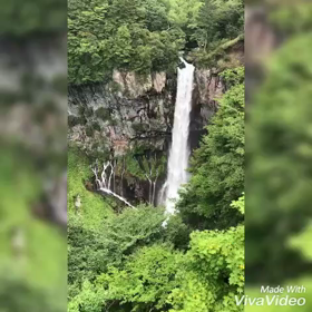 残暑お見舞い申し上げますm(_ _)m✨✨✨の画像