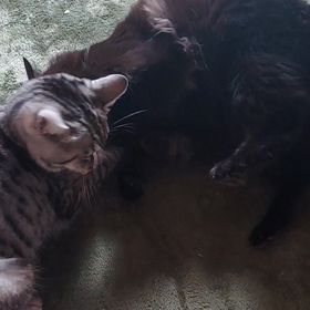 そして今。。の画像