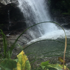 今日は、浄化の日の画像