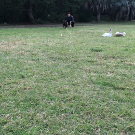 湘南海岸公園に行くの画像