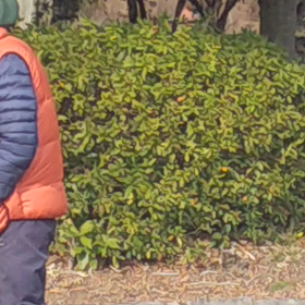 考えるおちゃんの画像