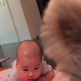 新しい世界を見てるんだな。きっと。の画像