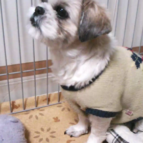 ごはんを食べるの画像