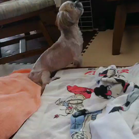 いちろーの画像