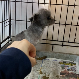 地獄の扉の画像