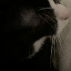 朝の幸せサウンドの画像