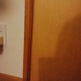 猫とラベンダー、アロマオイル。の画像