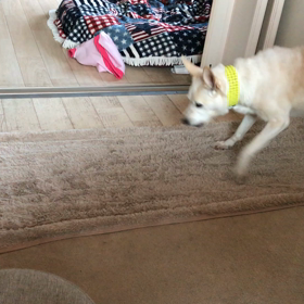 雪国にも行かず 活躍することなく タイヤ履き替えましたの画像