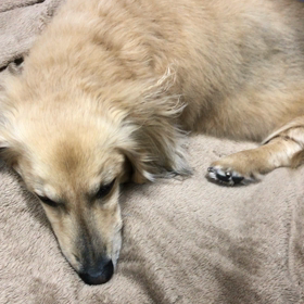 揺れる‼︎の画像