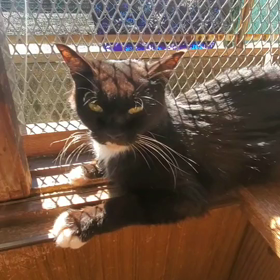 豆千代のお気に入りの画像