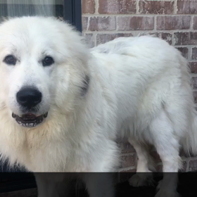 うっふ〜ん！乙女の行水見ないでね〜( ^ω^ )の画像