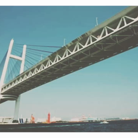 2019. 7月〜9月. 釣り動画の画像