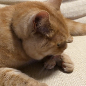 動画をUPできるようになったそーなのでd(￣ ￣)の画像