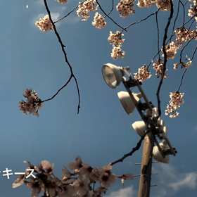 それでも陽は登るの画像