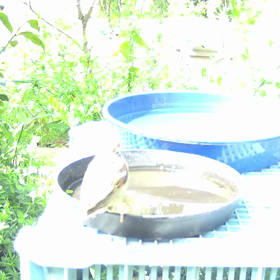 すぎぴたんの事件簿シーズン２　３８話の画像