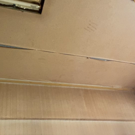 なさかさの画像