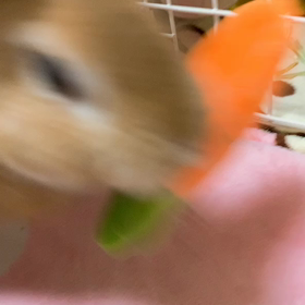 寝れない日々の画像