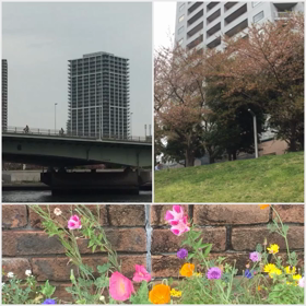 春だから…。の画像