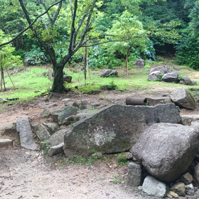 落ち着いてきたの画像
