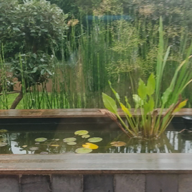 ブルターニュ地方の画像