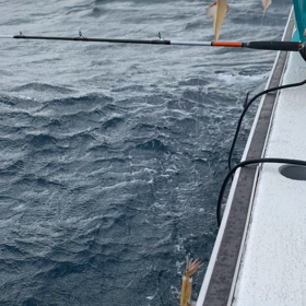 30超え！？の画像