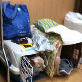 何より、何より。の画像